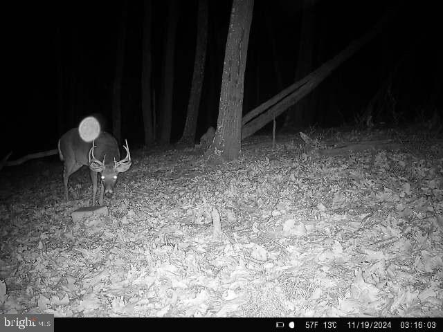 LOST MOUNTAIN - Residential