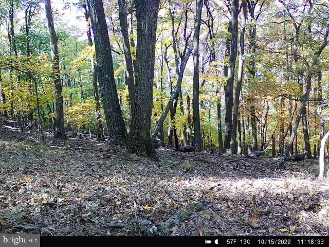 LOST MOUNTAIN - Residential