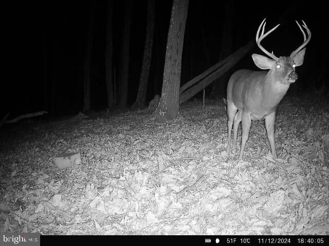 LOST MOUNTAIN - Residential