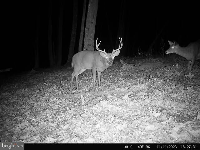 LOST MOUNTAIN - Residential