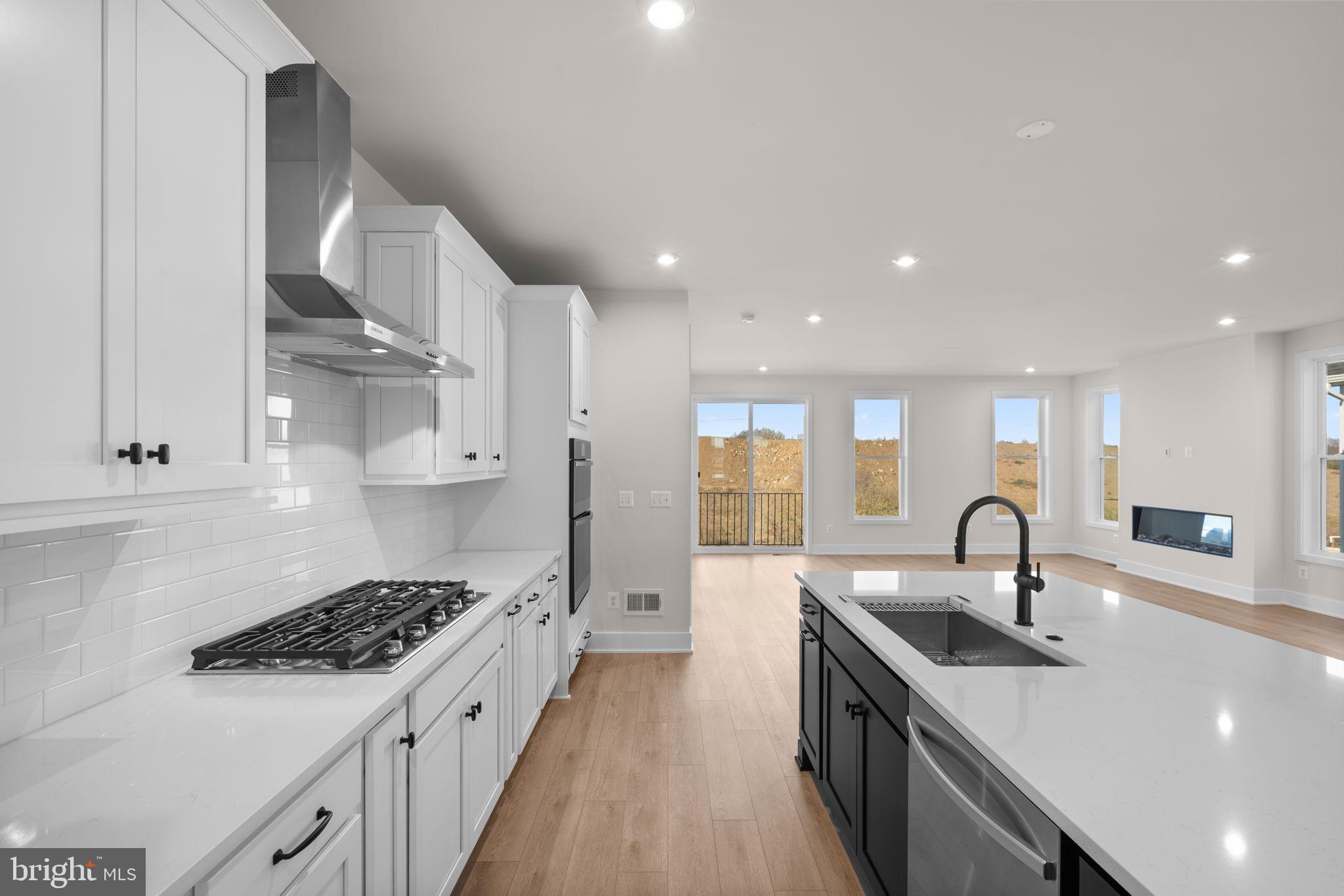 HIATT POINTE AT SNOWDEN BRIDGE - Residential