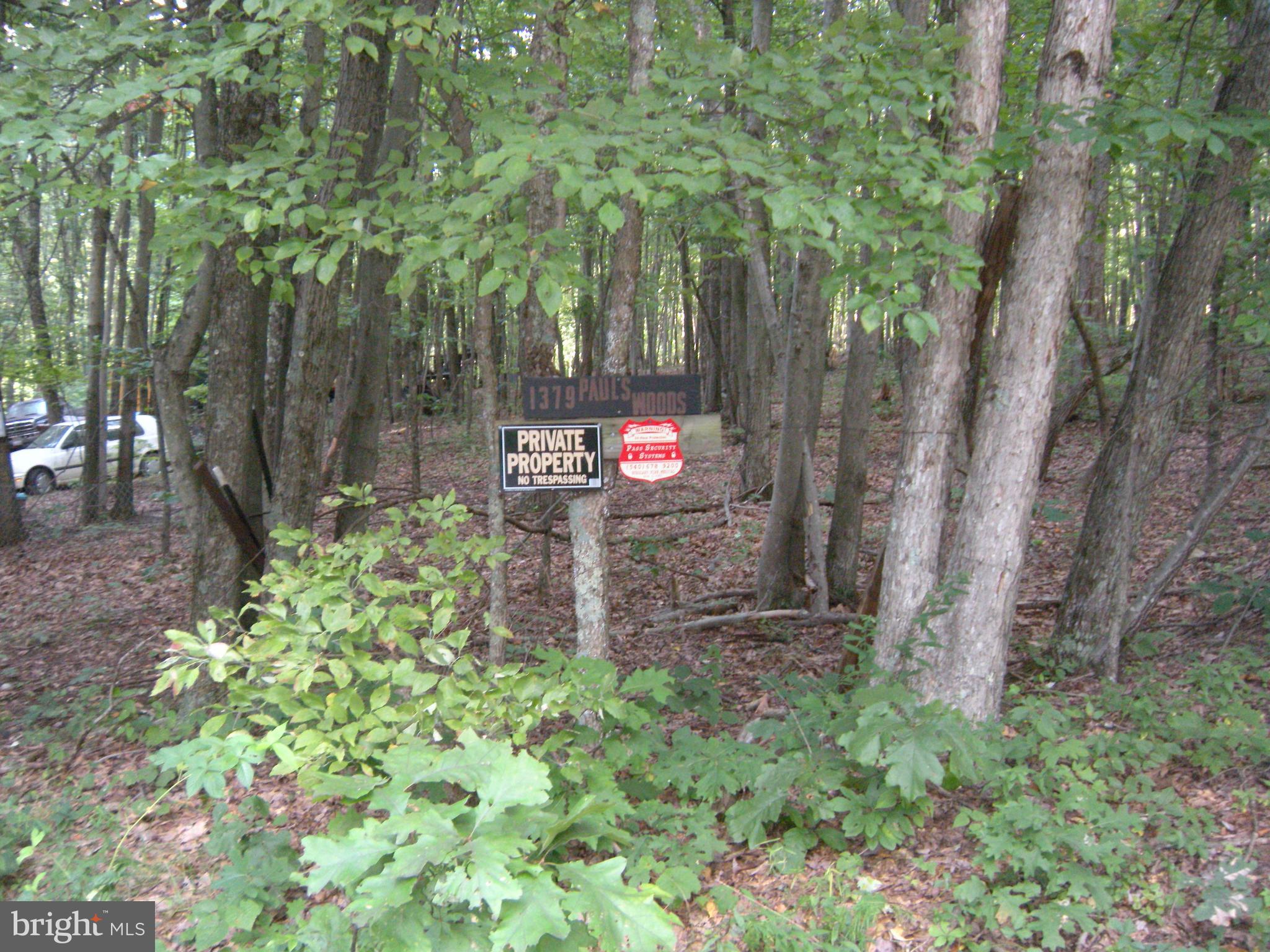 PAUL'S WOODS - Land