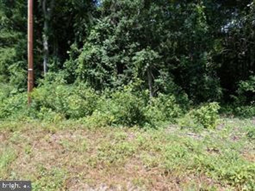 The perfect place to build your dream home, a flat lot in a water-oriented community only blocks from Monroe Bay and the Potomac River. Enjoy the voluntary community amenities of a boat ramp, marina, clubhouse, and t-dock for fishing and swimming. Call to schedule your showing today!