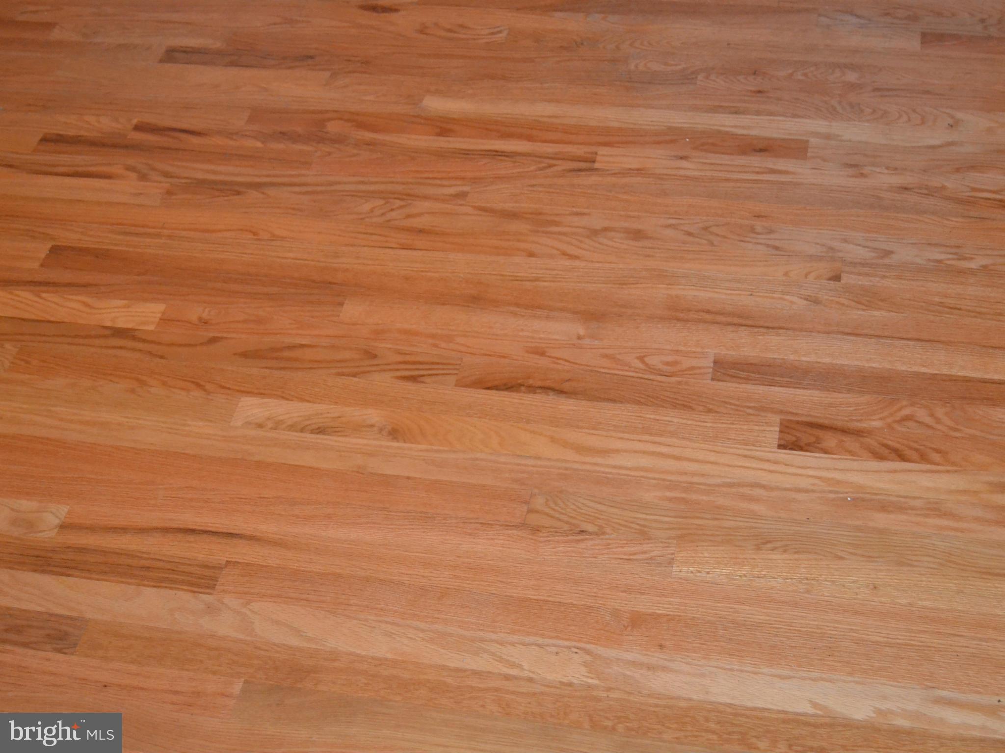 RIDGEWOOD - Residential