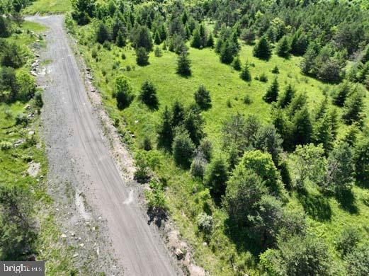 PINE HILL ROAD