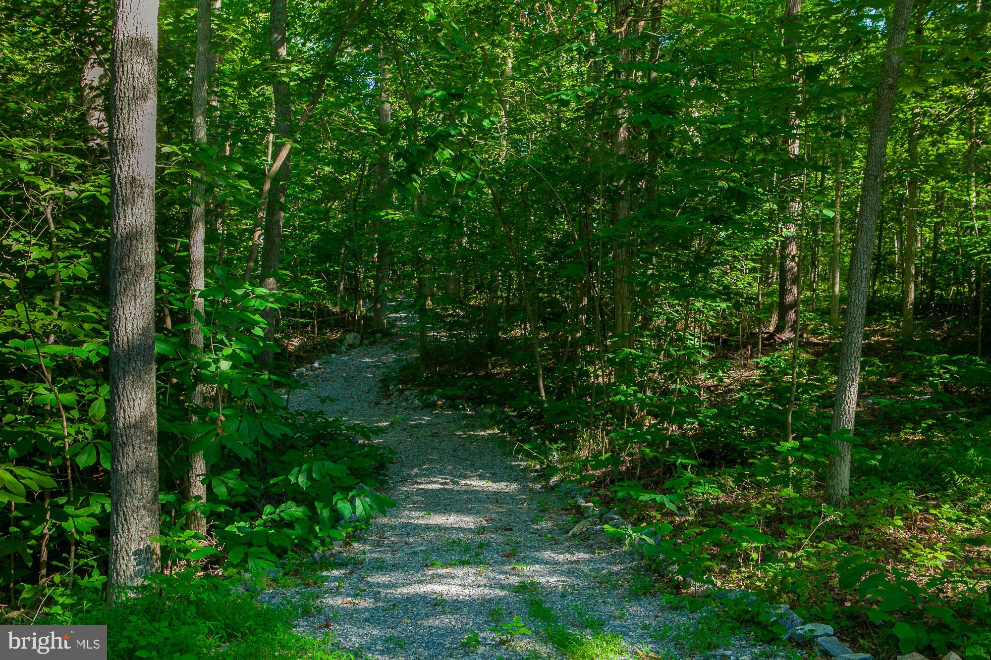 SHEPHERDS COVE - Land