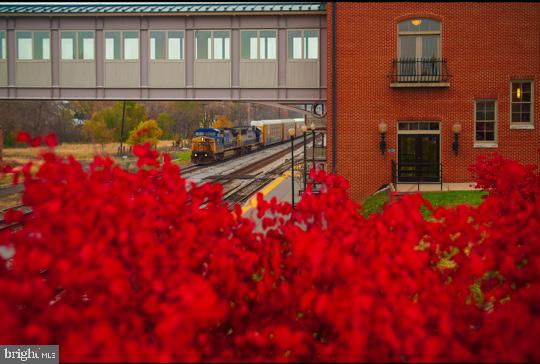 SHEPHERDS COVE - Land