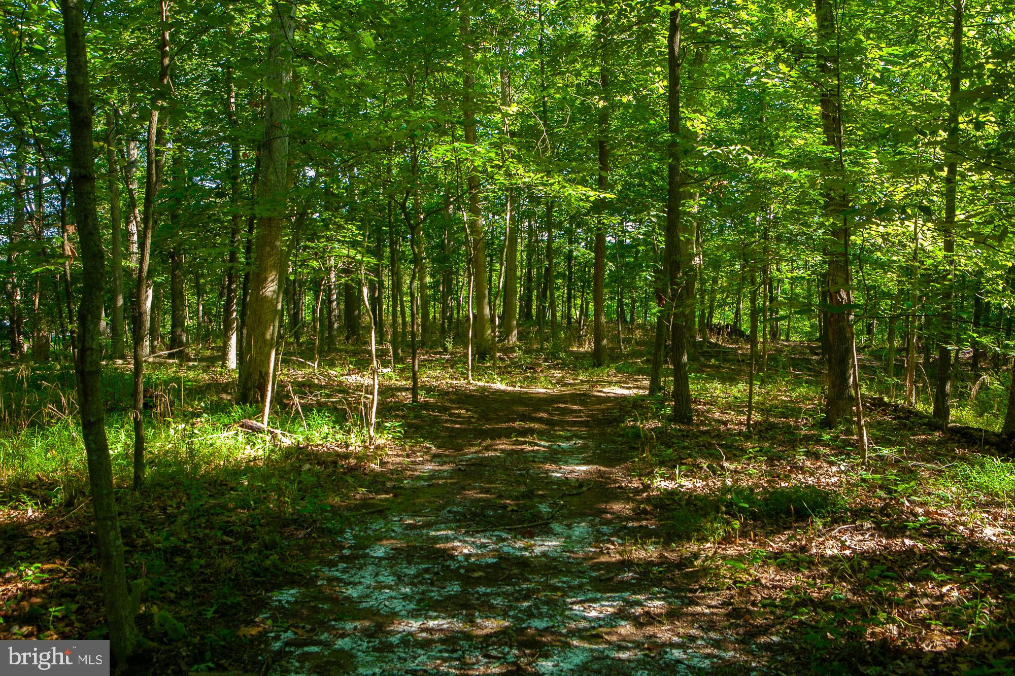 SHEPHERDS COVE - Land