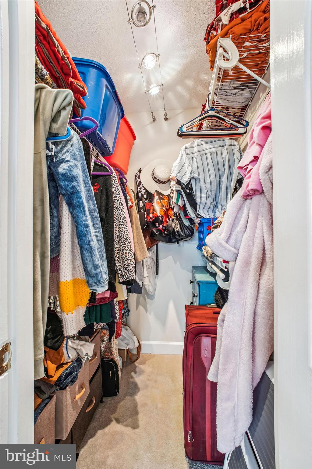 OLYMPUS - Residential Lease