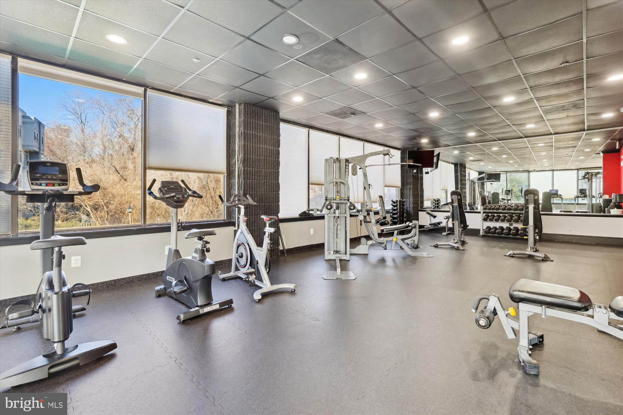 OLYMPUS - Residential Lease