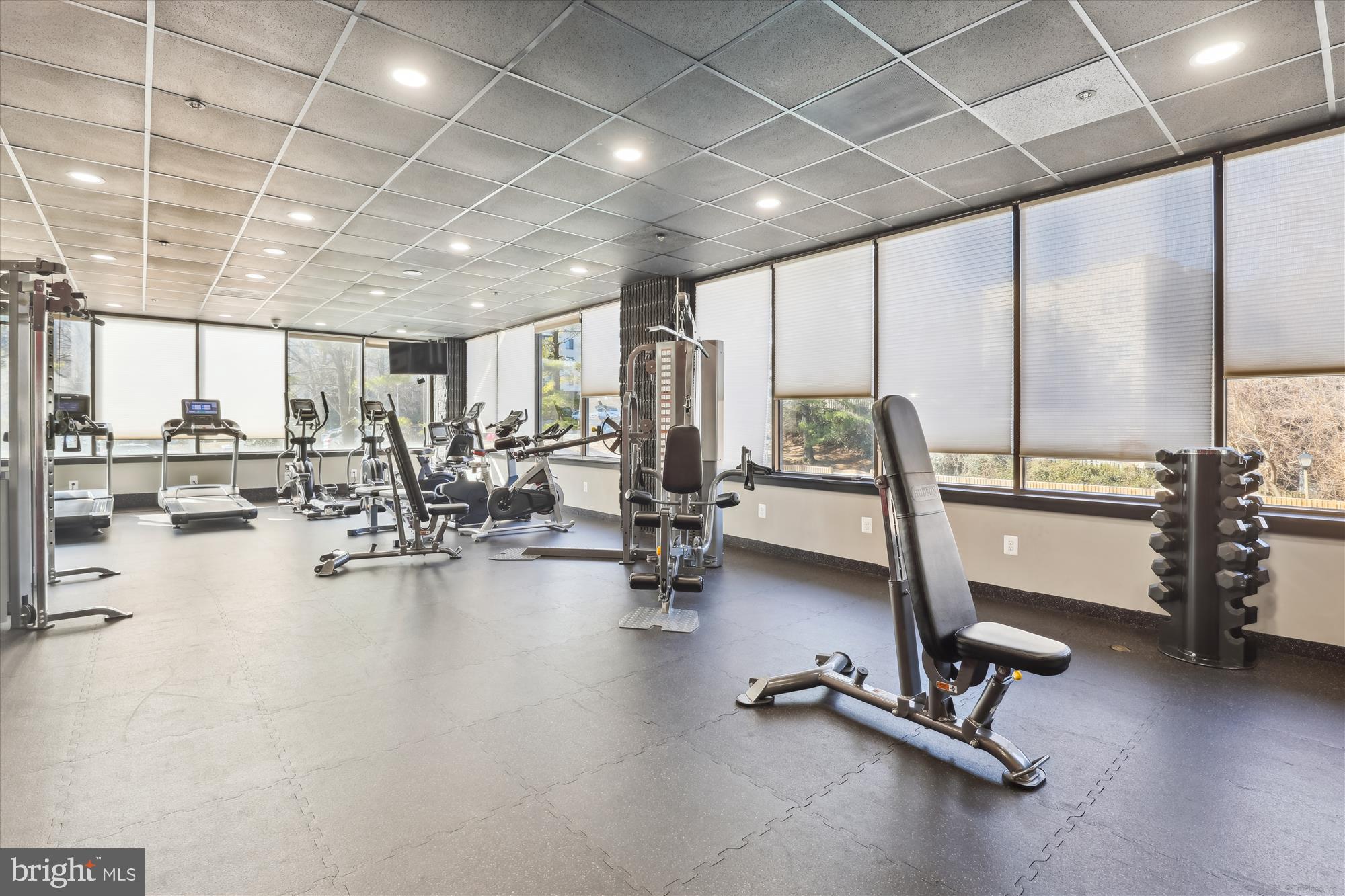 OLYMPUS - Residential Lease