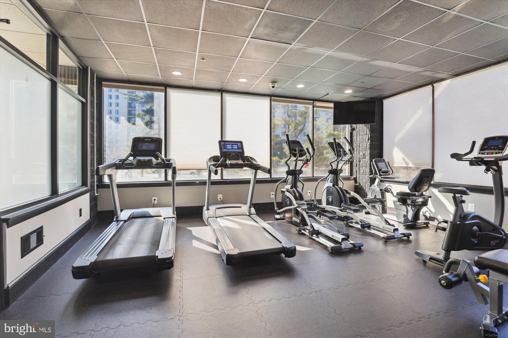 OLYMPUS - Residential Lease