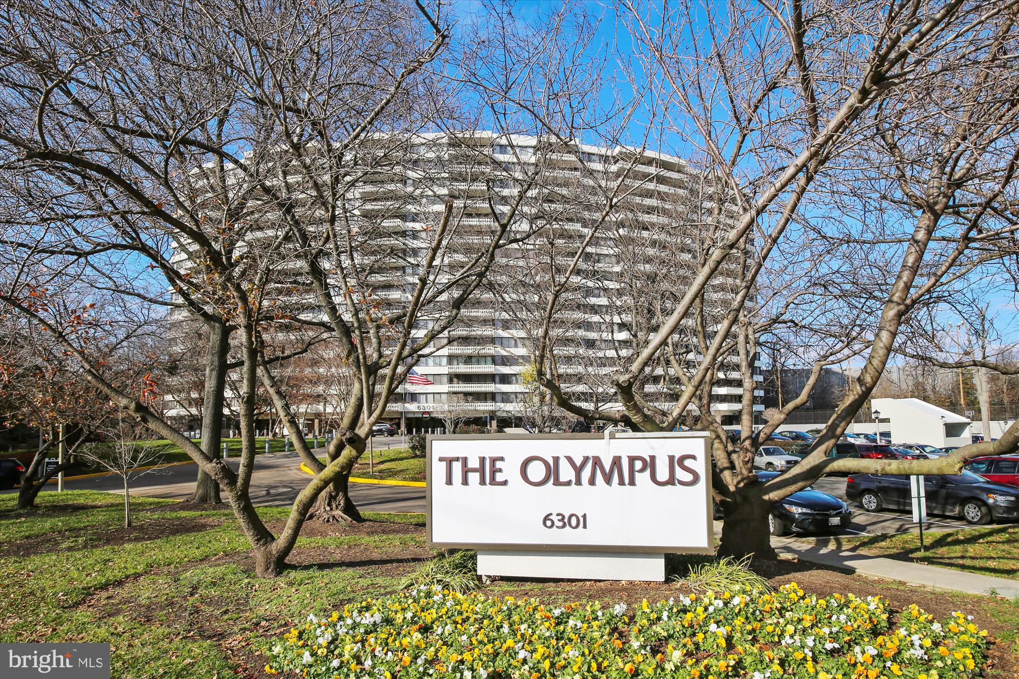 OLYMPUS - Residential Lease