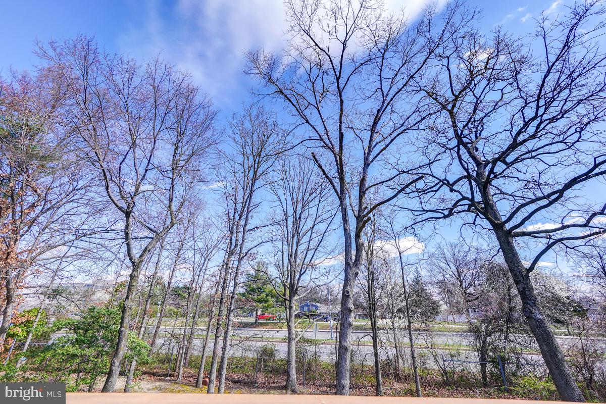 ARBORY - Residential