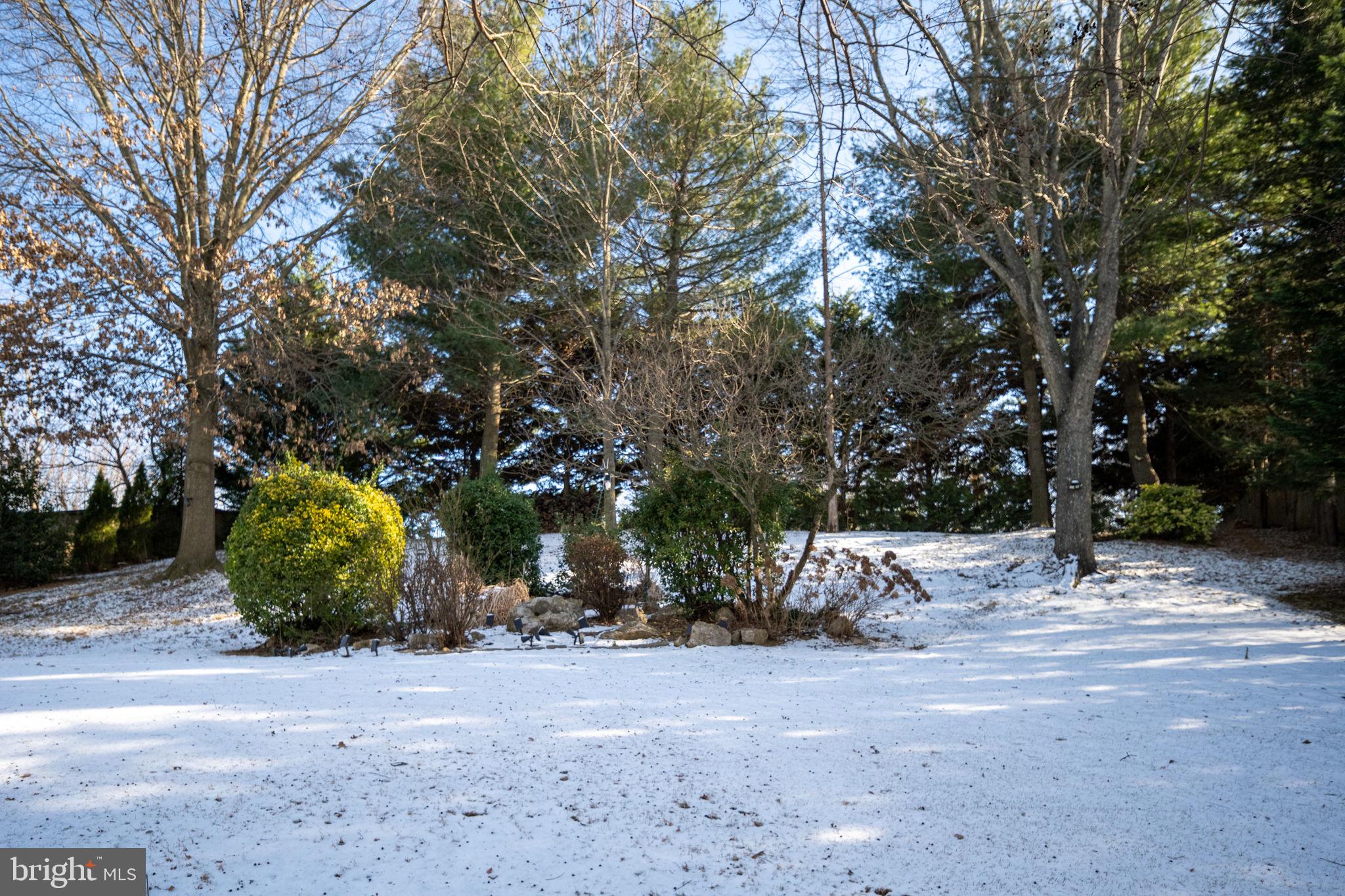 MEADOWS OF MINNIEVILLE - Residential