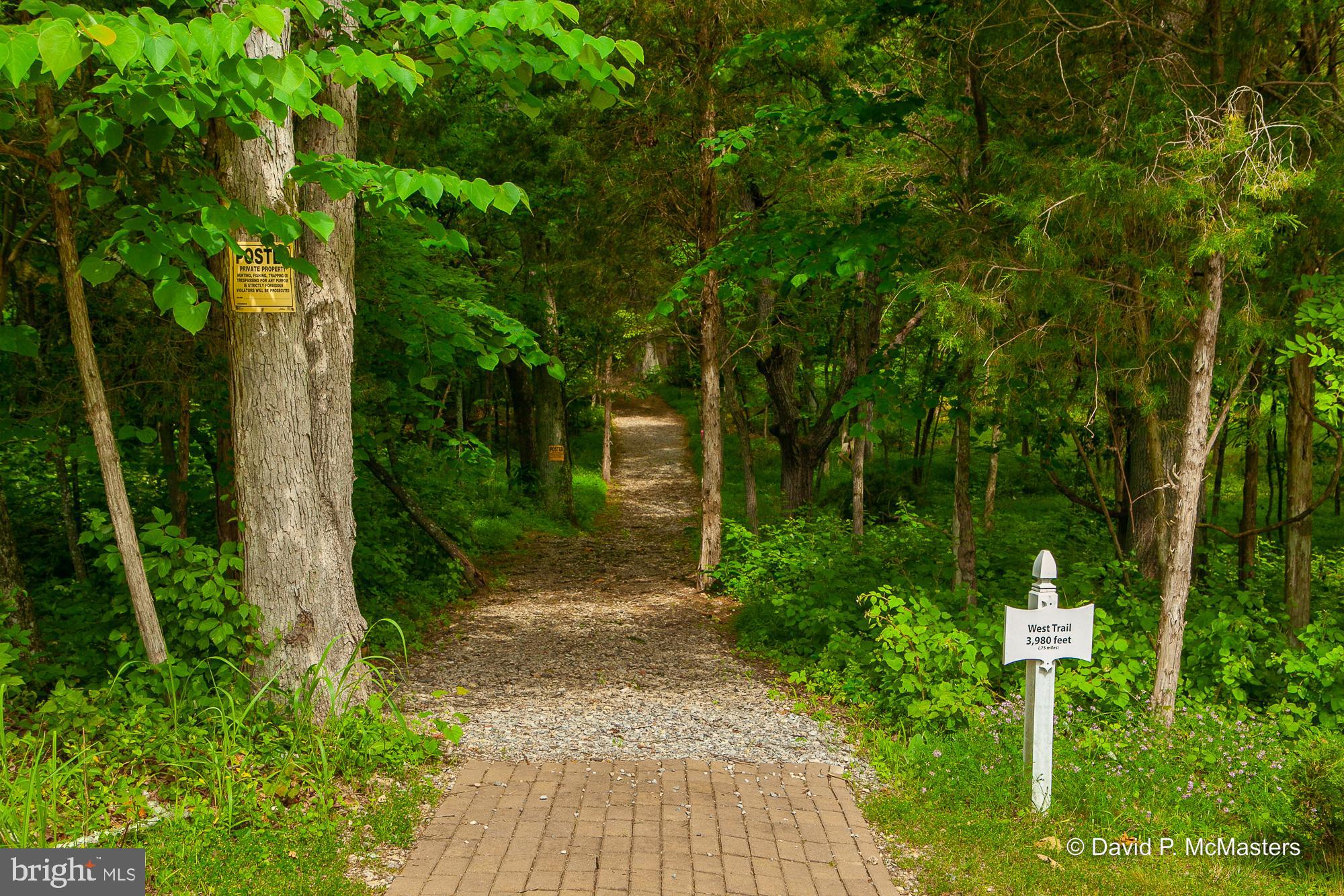 SHEPHERDS COVE - Land