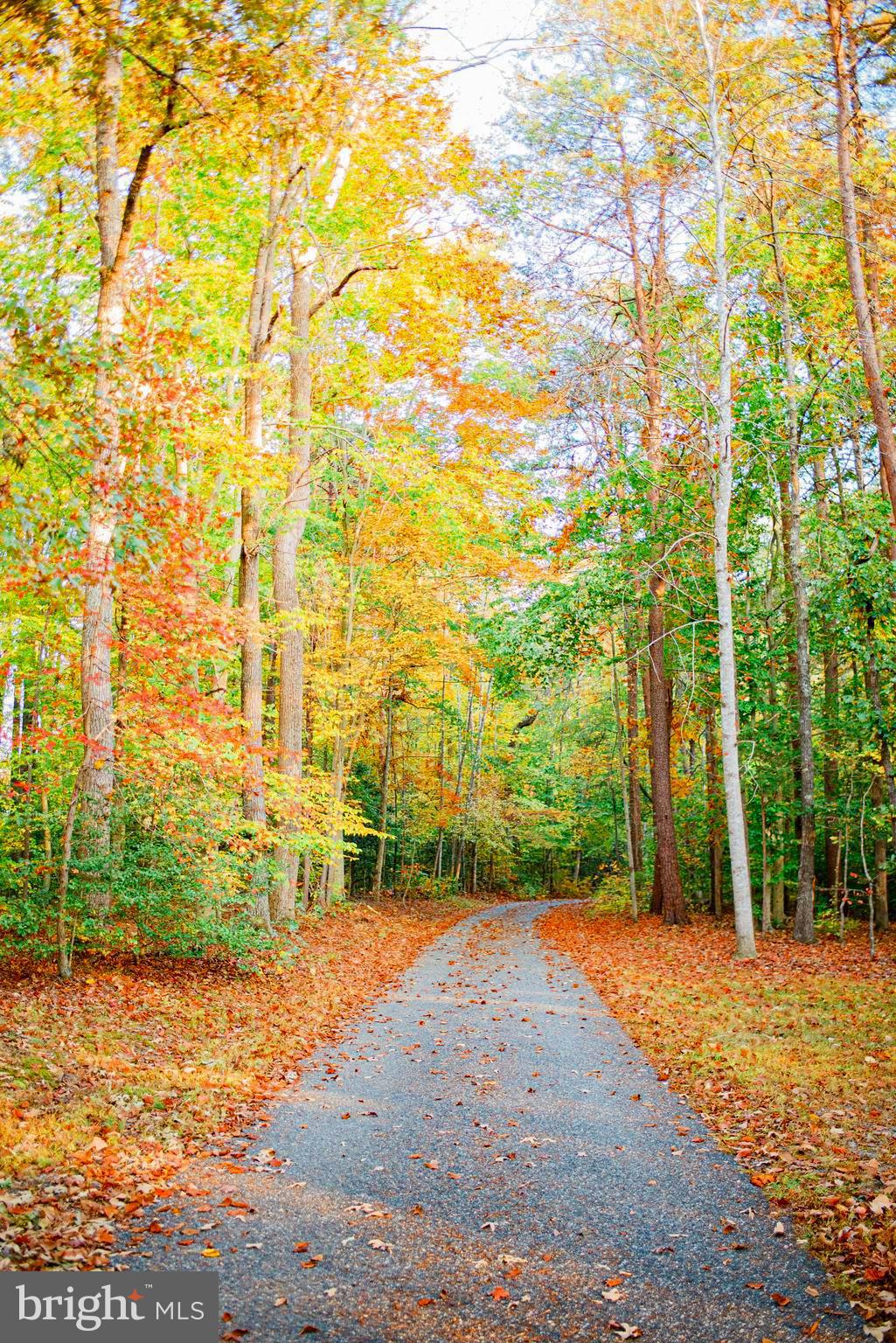 HICKORY LANDING - Residential