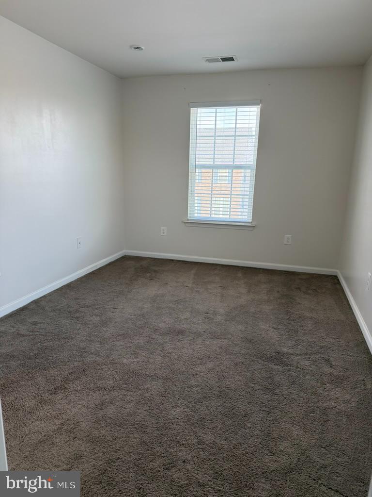 LAKE FREDERICK - Residential