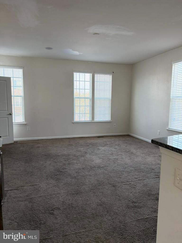 LAKE FREDERICK - Residential