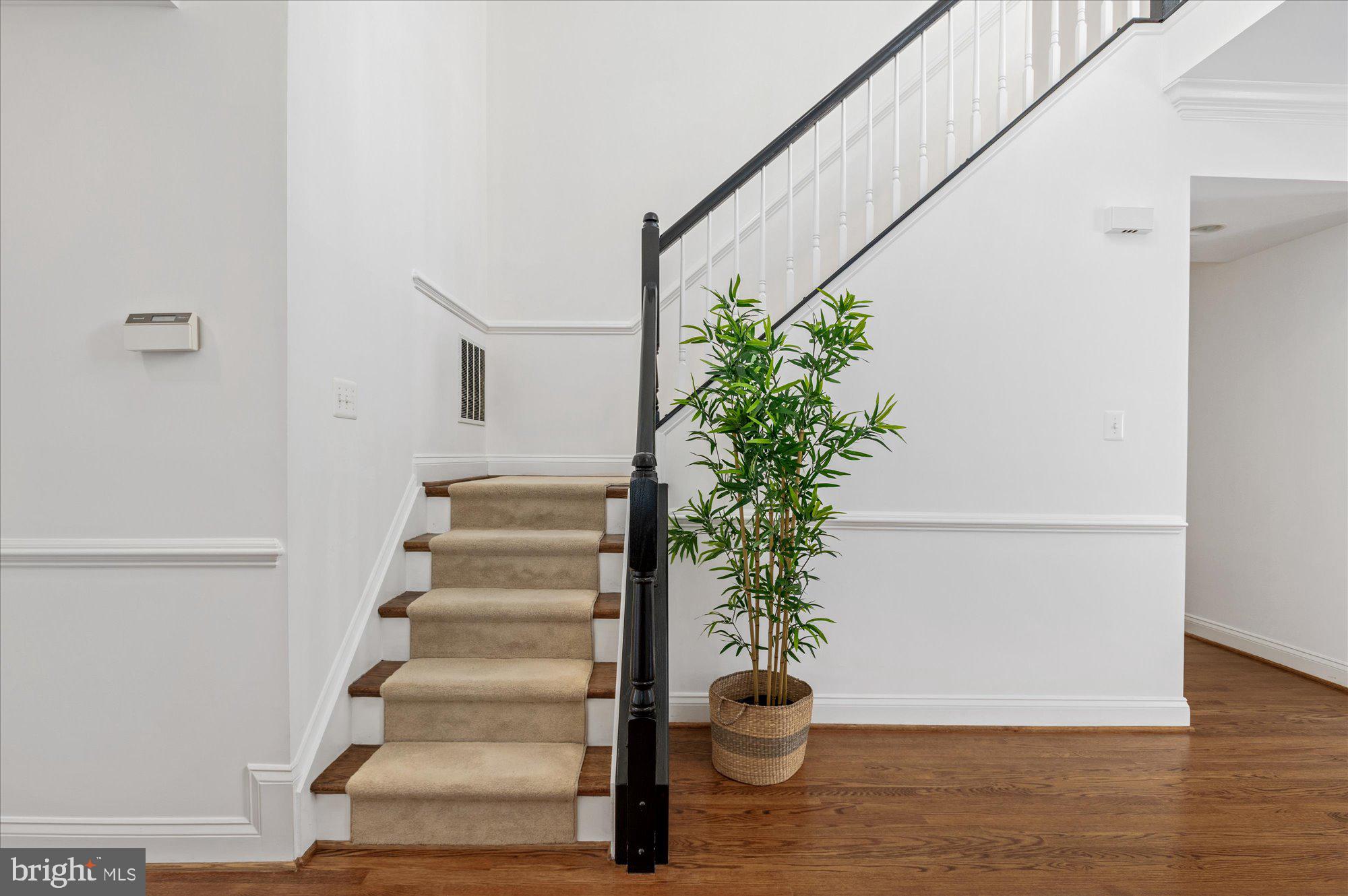 NORTH KENSINGTON - Residential