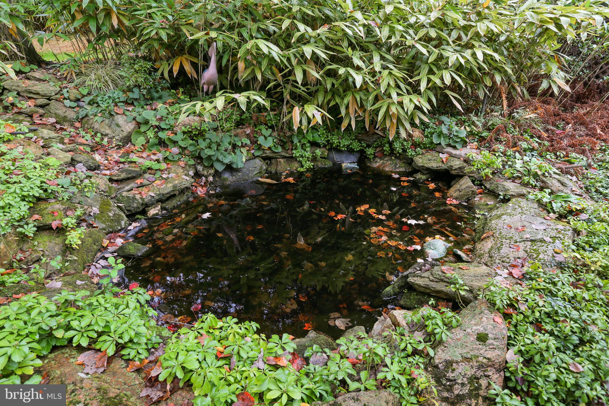 STEVENSON - Residential