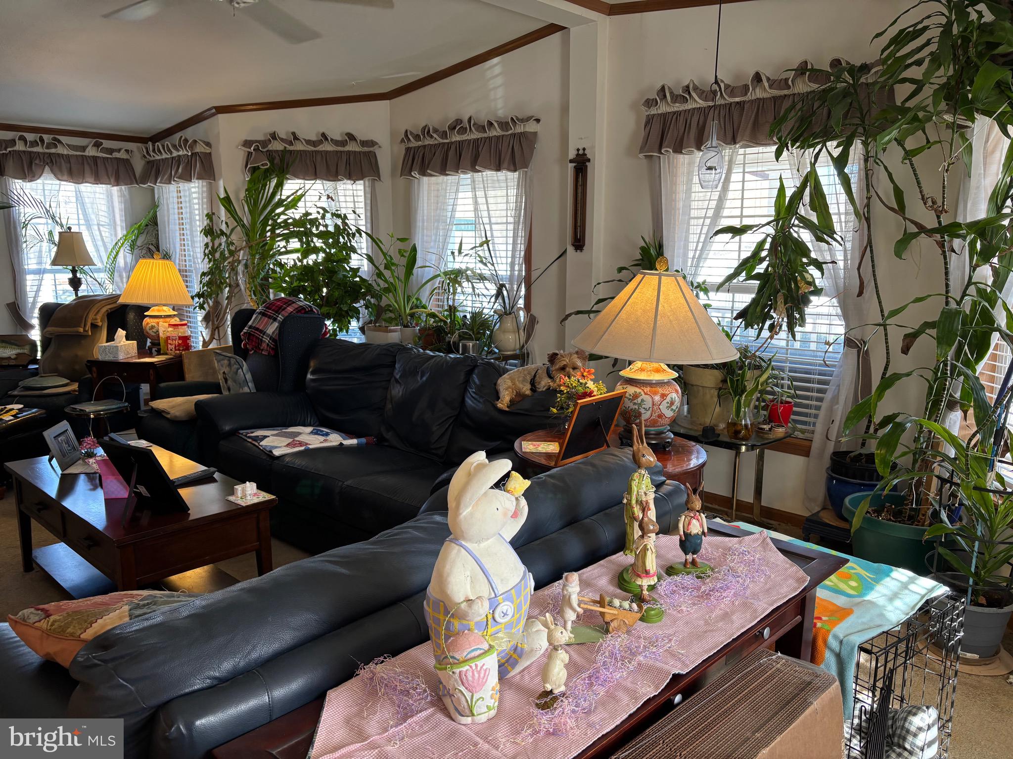 SPRING RUN ESTATES - Residential