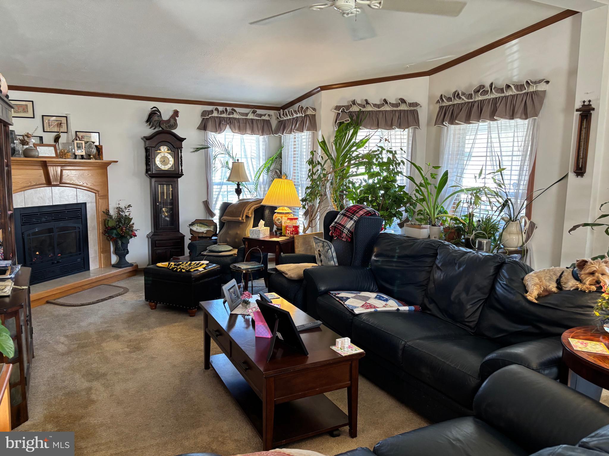 SPRING RUN ESTATES - Residential