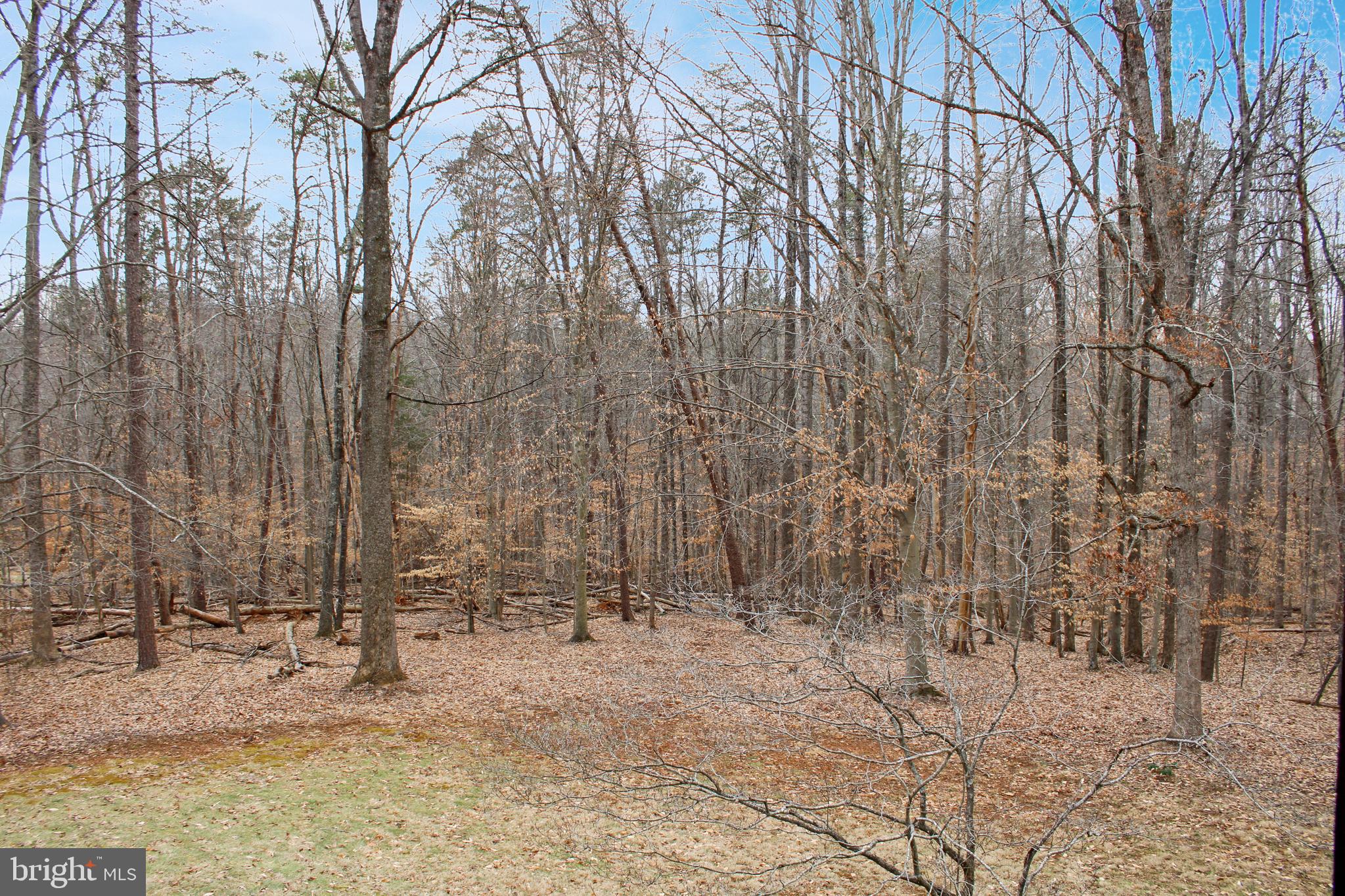 NORTH PINES - Residential Lease