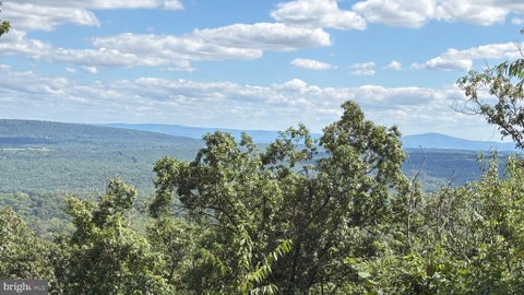 Vacant Land For Sale - LOT 112-113-114 Tomahawk Trail<br/> WINCHESTER, VA 22602