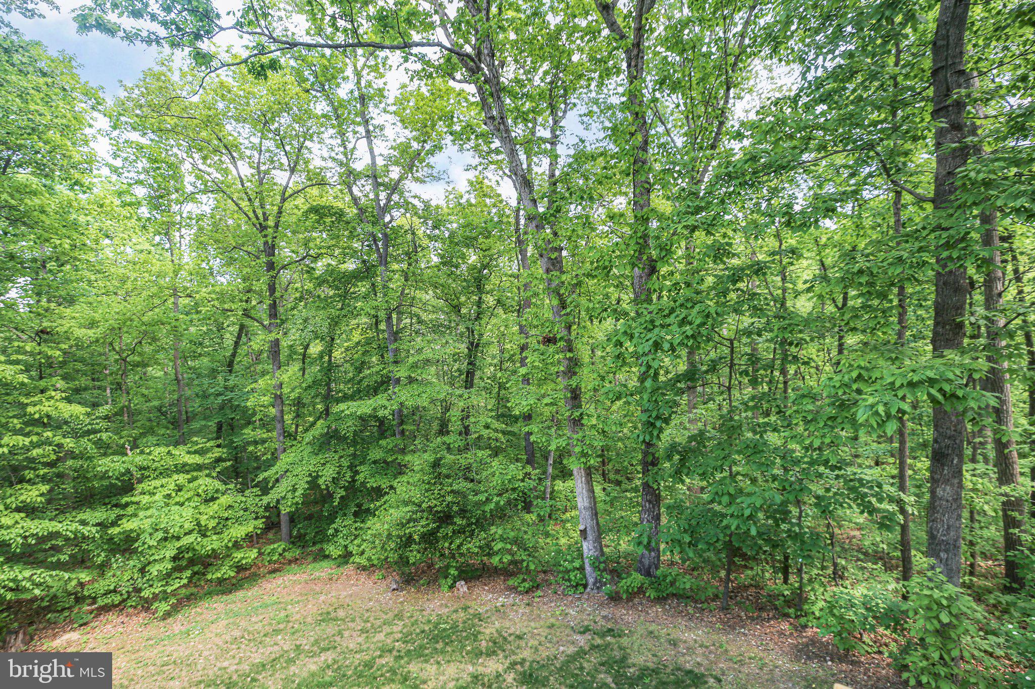 GRANDSTAFF WOODS - Residential