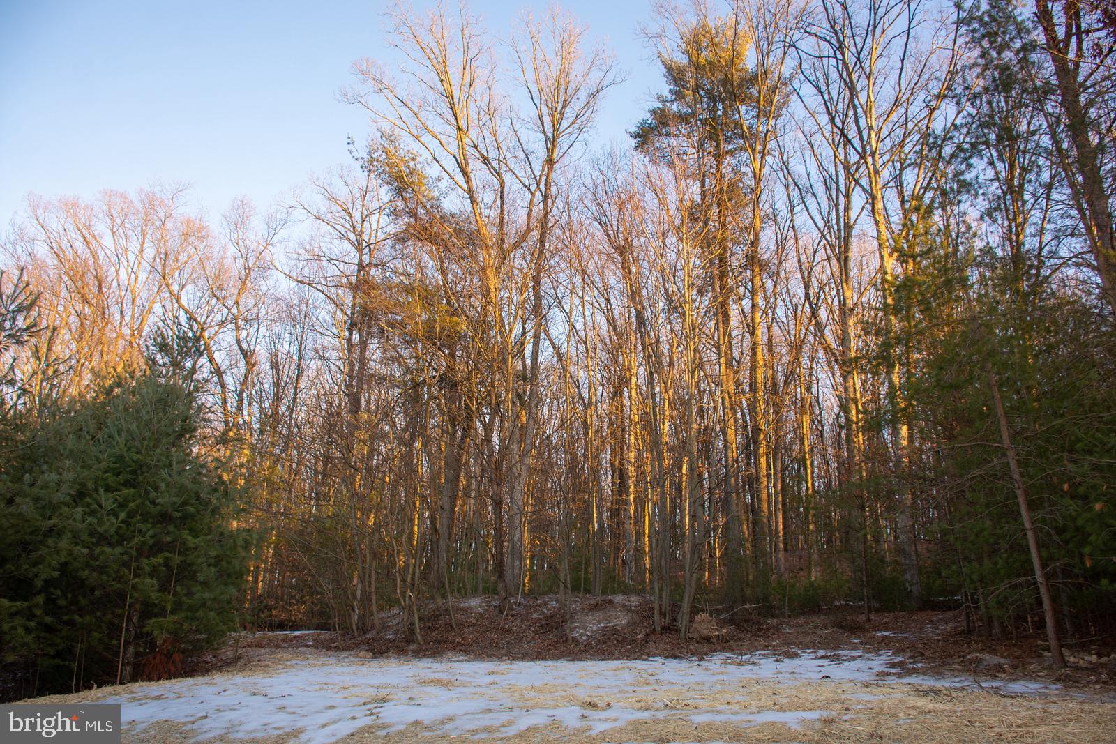 THE PINES - Residential