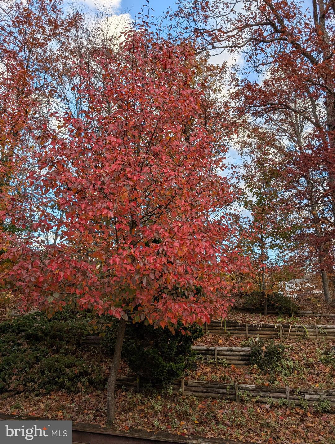 TERRA GRANDE - Residential