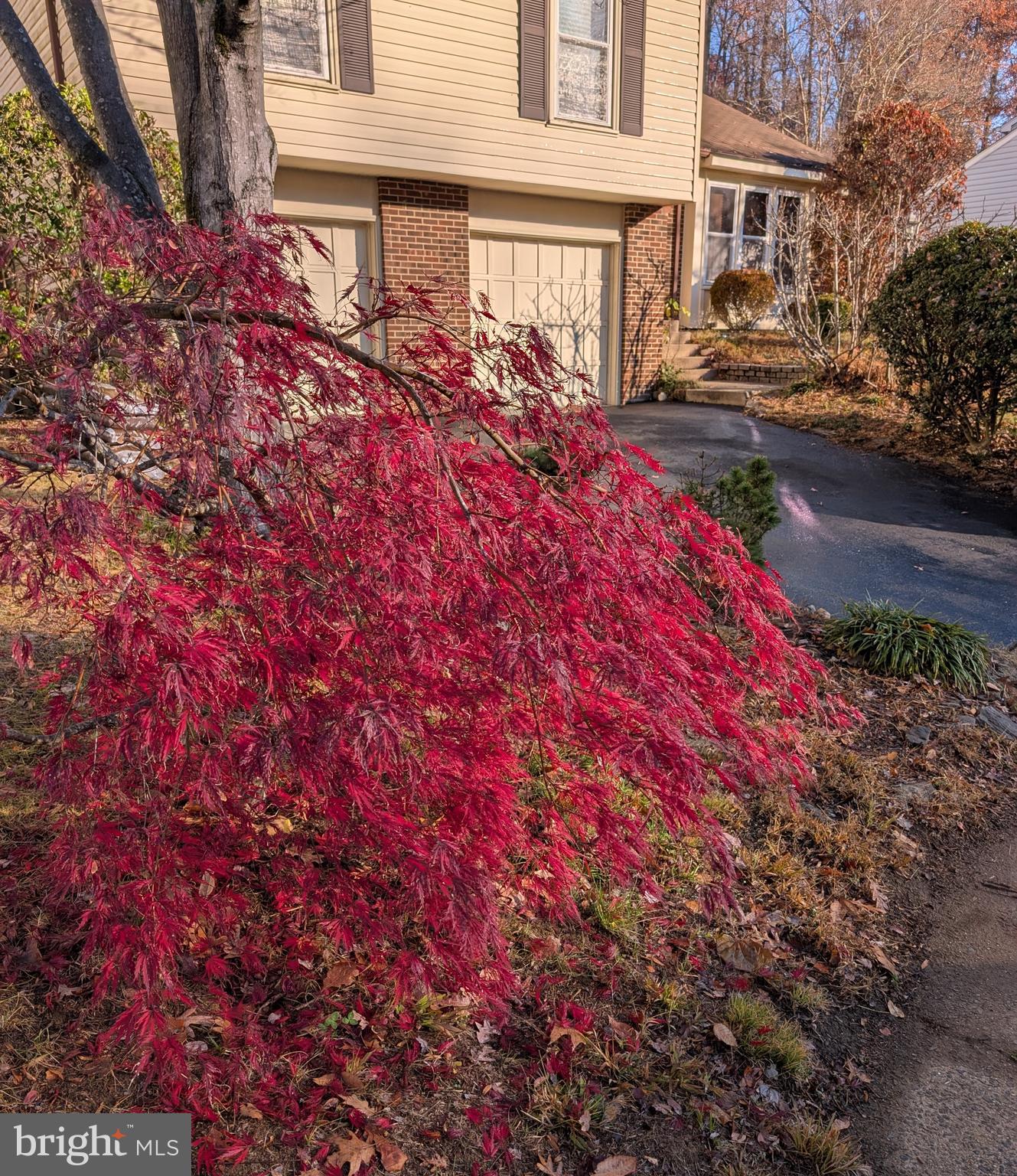 TERRA GRANDE - Residential