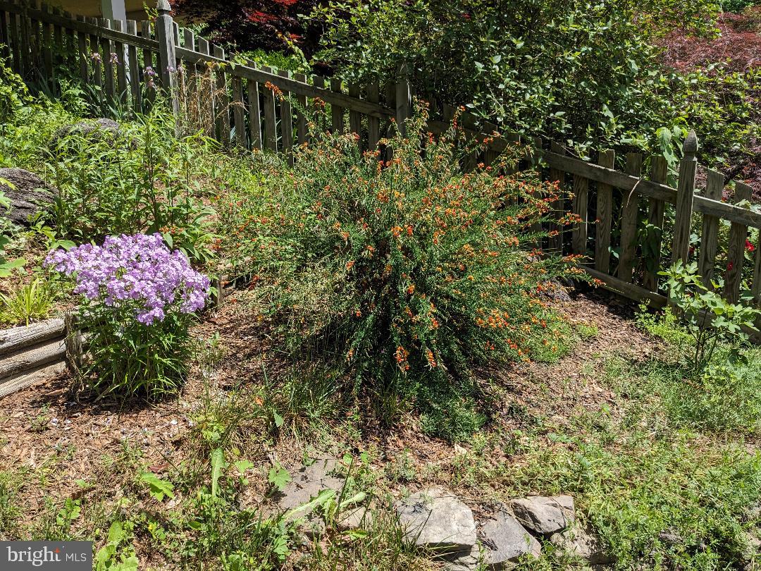 TERRA GRANDE - Residential