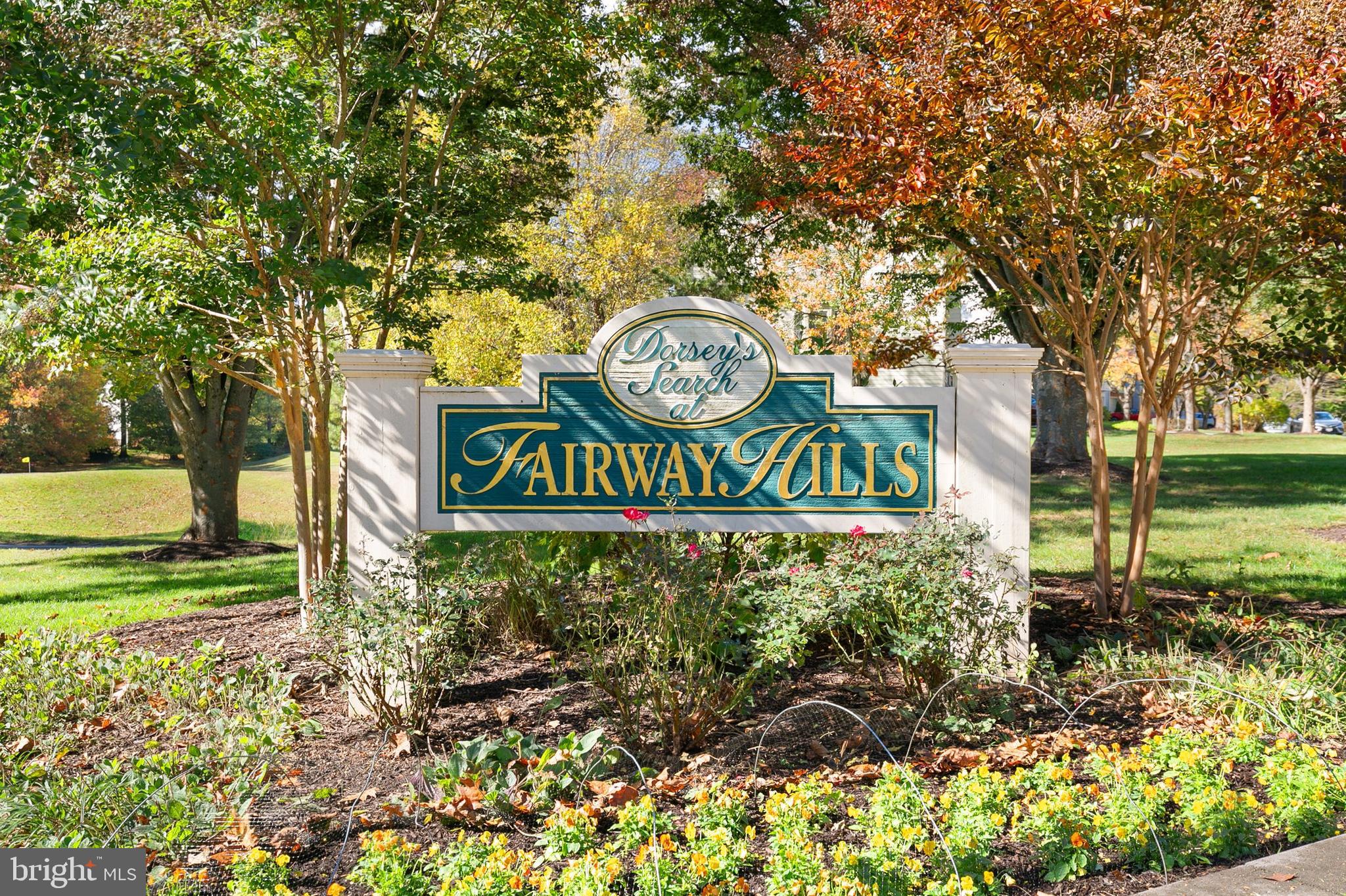 VILLAGE OF DORSEY SEARCH - Residential