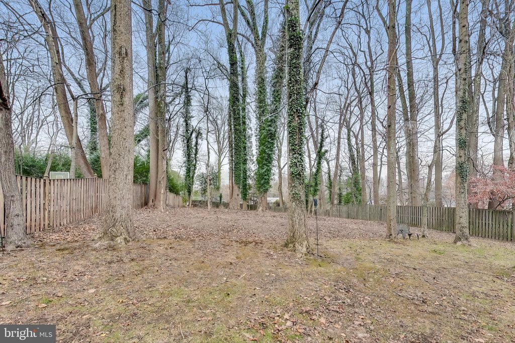 listing image 64