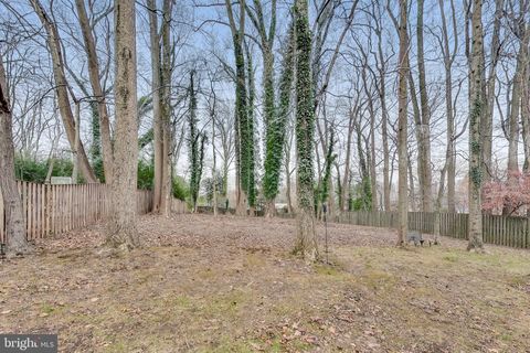 listing image 64