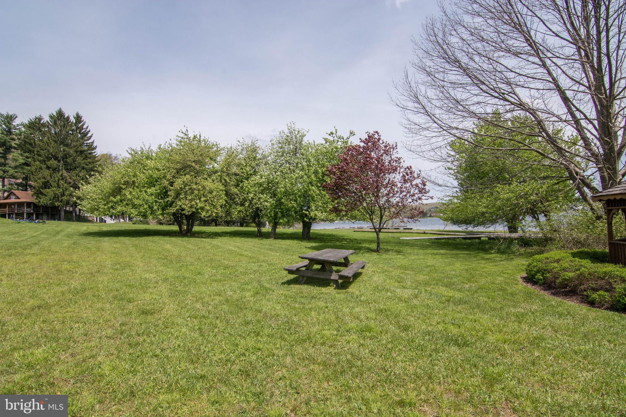 VILLAGES OF WISP - Residential