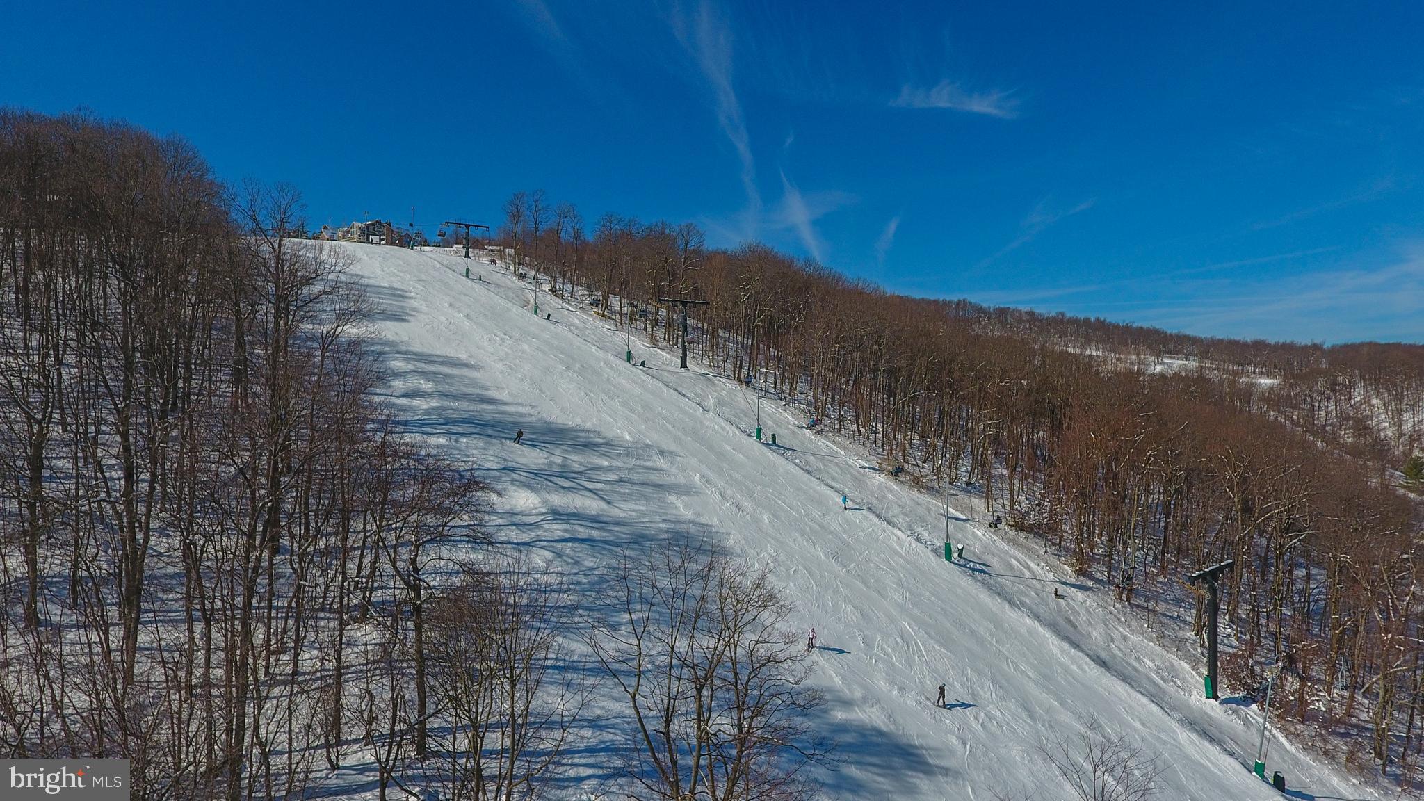 VILLAGES OF WISP - Residential