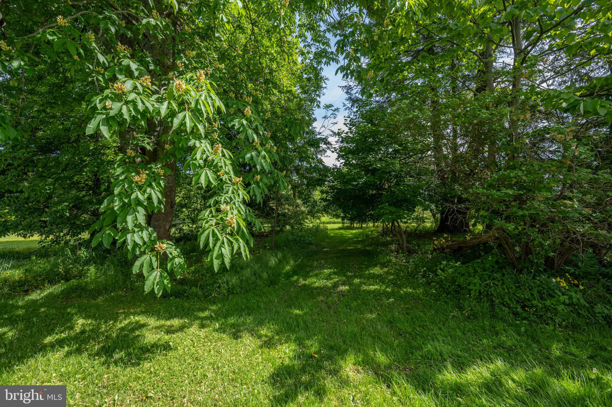 SUNNYSIDE - Residential