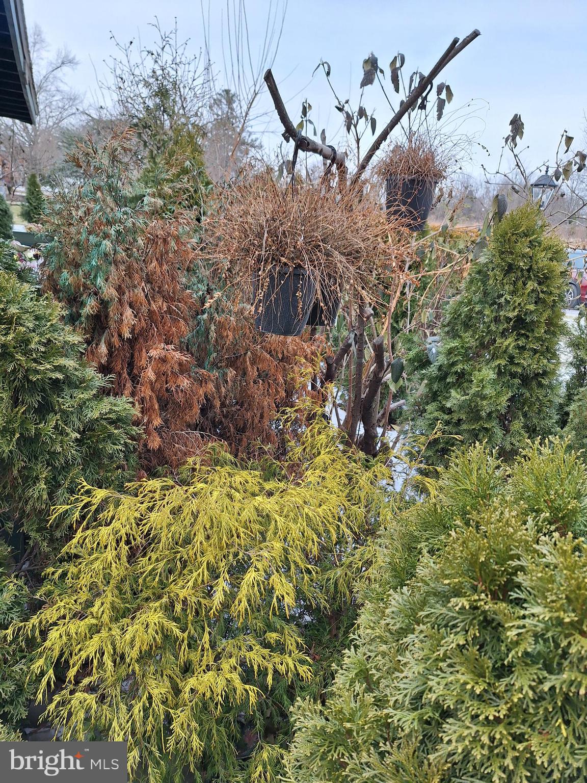 WHITPAIN HILLS - Residential