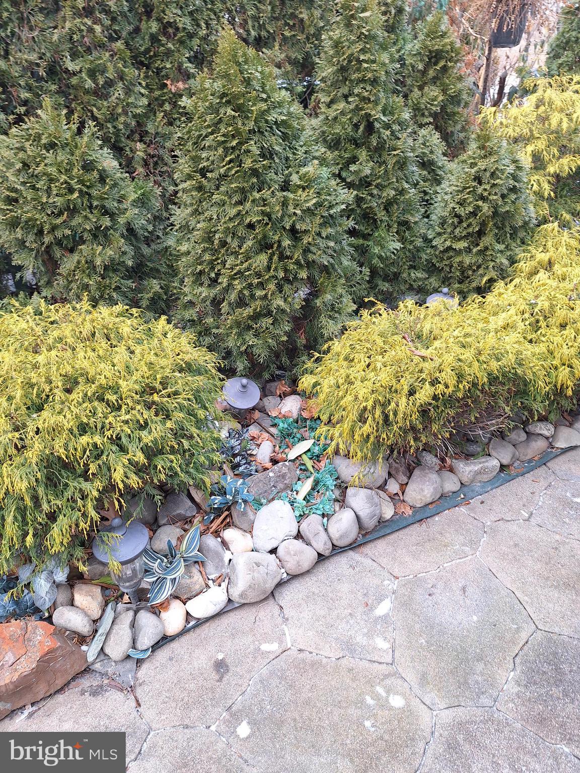 WHITPAIN HILLS - Residential