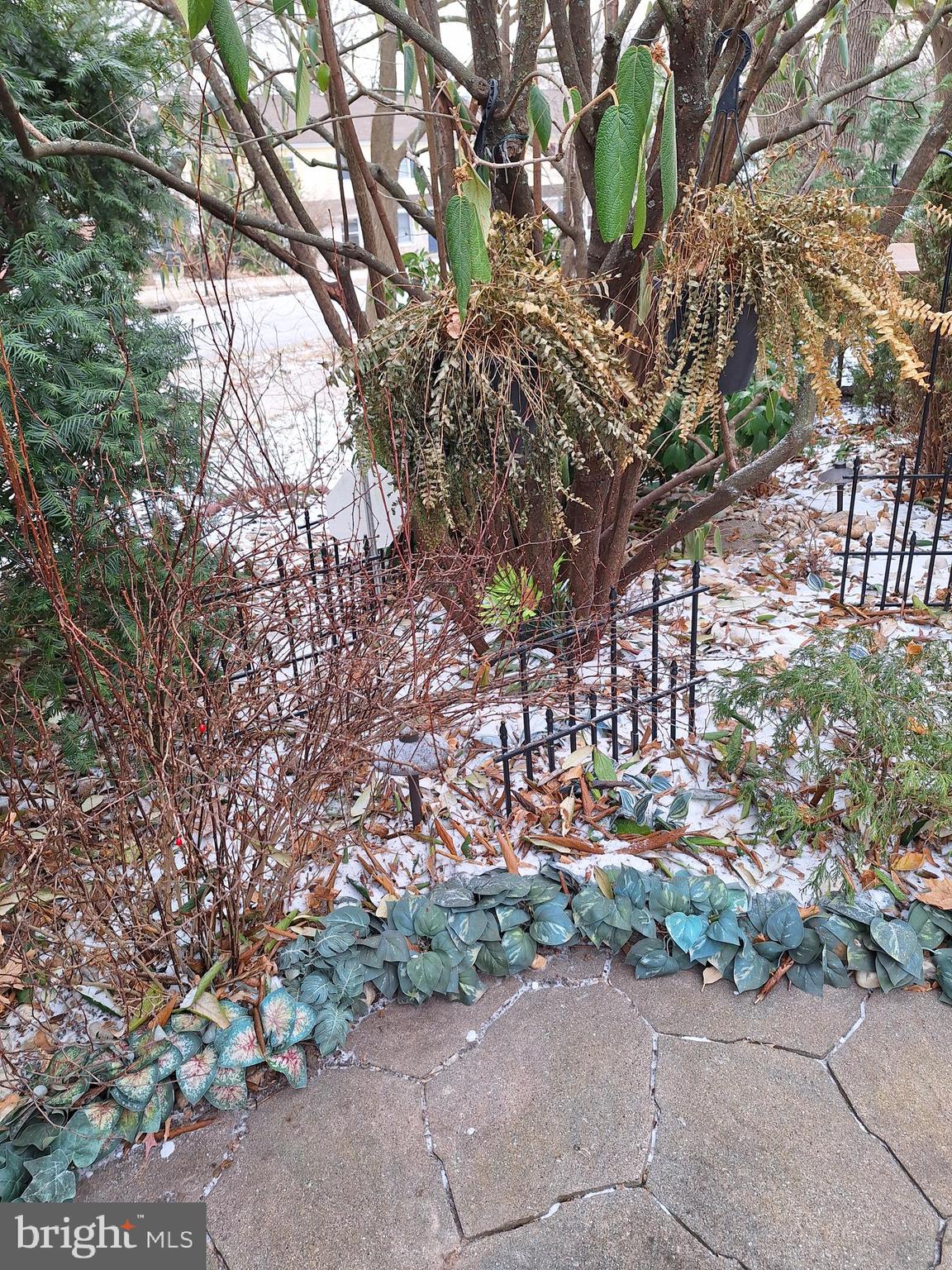 WHITPAIN HILLS - Residential