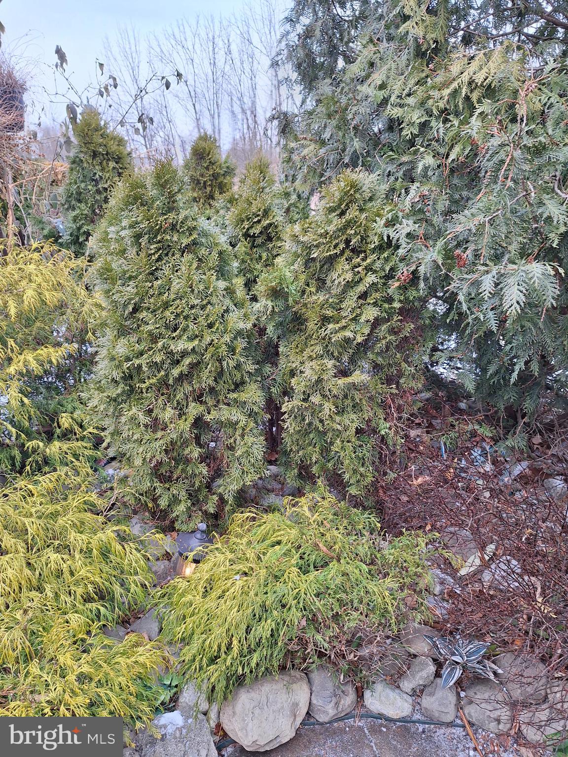 WHITPAIN HILLS - Residential