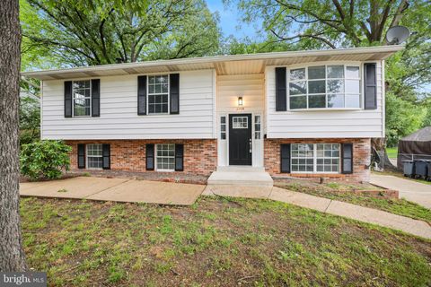 11709 EMACK ROAD BELTSVILLE MD 20705
