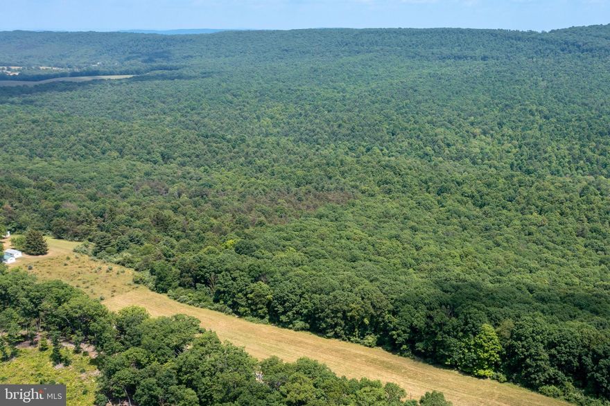 17.29 UNRESTRICTED ACRES. Looking for a place to build a mountain escape or simply a property to hunt on? This parcel fronts on Green Ridge Road and is minutes from I-68, Green Ridge State Forest and the public shooting range (located off National Road in Green Ridge State Forest). The terrain is a level field at the road and slopes into the woods. There are no public utilities available- a well and septic would be needed to build.  No HOA or covenants. Great for hunting or recreation.  Call today- this one won't last long!