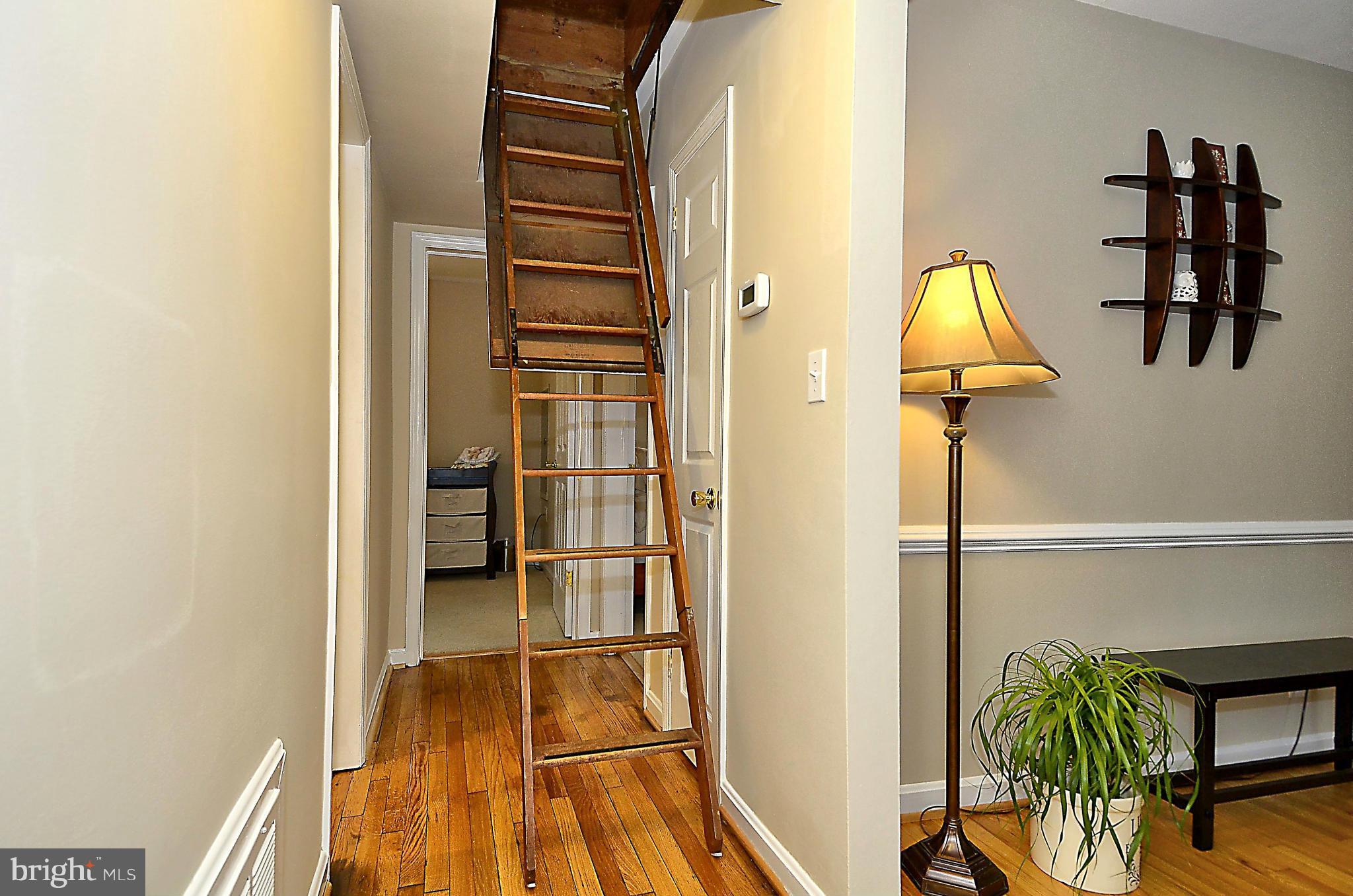 HAZELTINE HEIGHTS - Residential