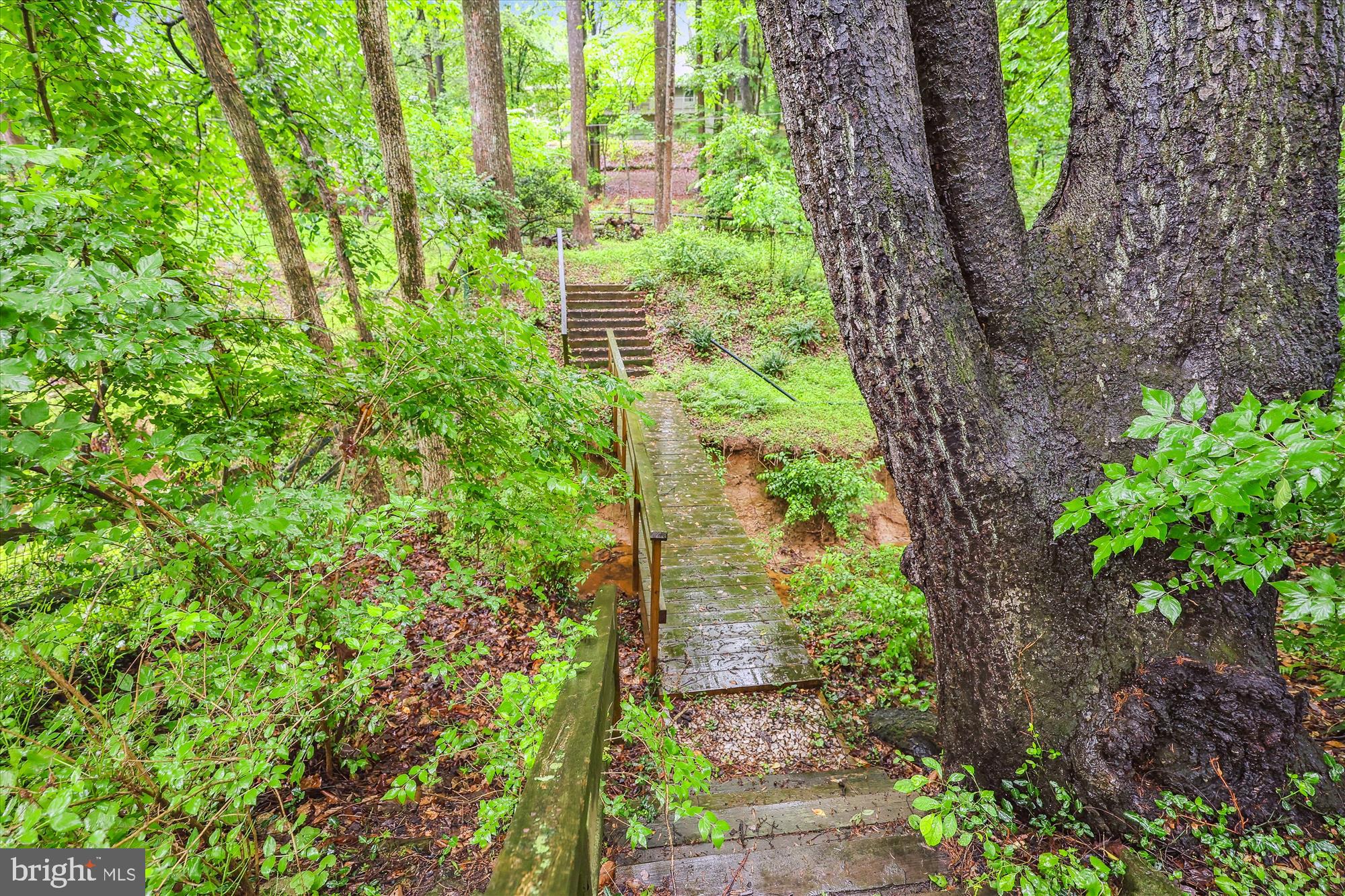 POTOMAC OUTSIDE - Residential