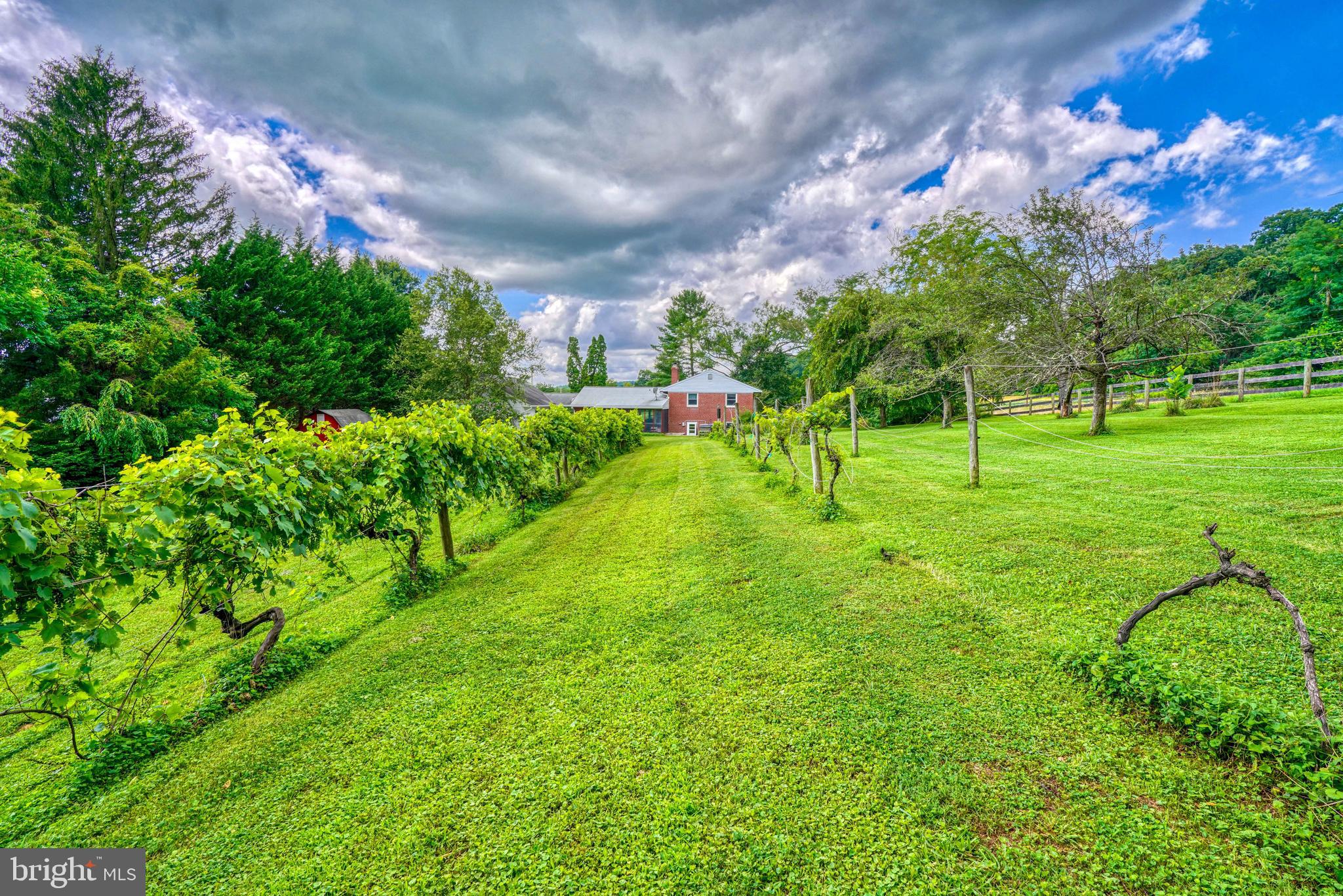 SPARKS GLENCOE - Residential