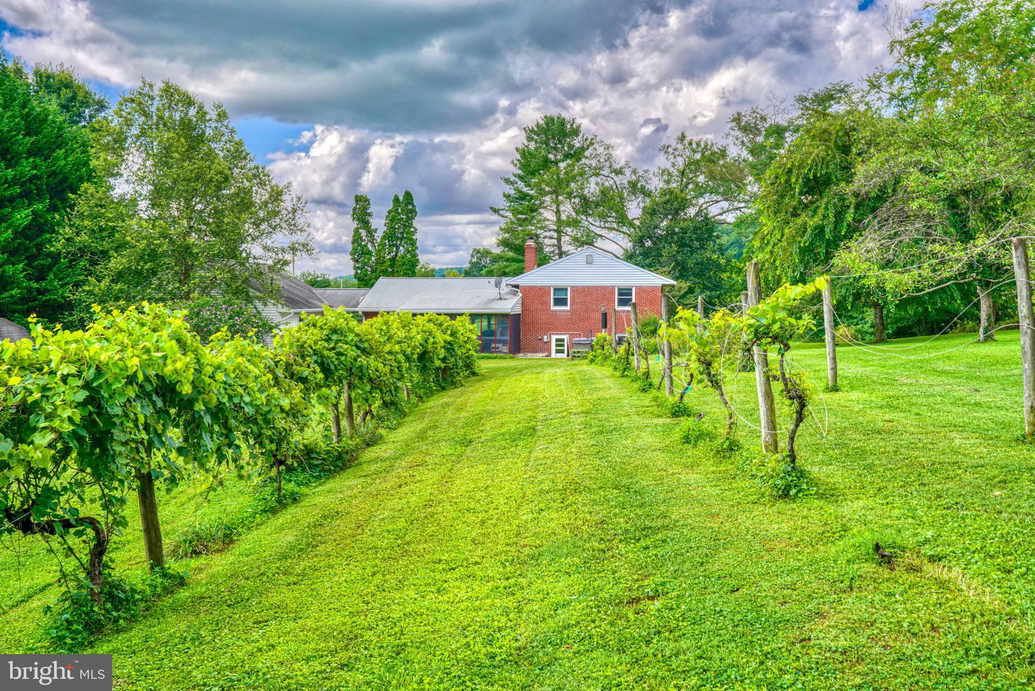 SPARKS GLENCOE - Residential